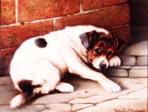 एक अच्छा साथी (बोर्ड)