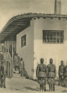 जासूस द्वारा वासिलि वासिलिविच वीरश्चैगिन