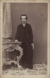 संगीतकार एंटोन रुबिनस्टीन का चित्र 1829-1894। द्वारा वियना। फोटो स्टूडियो फ्रांज शुल्त्स