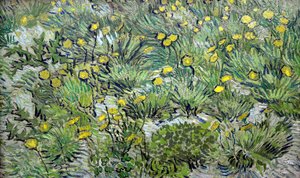Dandelions Dandelions, 1889। द्वारा विन्सेंट वैन गॉग
