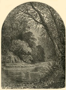 मॉस आइलैंड्स, जूनियाटा में, 1874।
