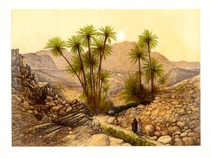 सीनाई का रेगिस्तान, मिस्र, c1870।