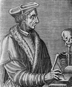 जीन फ्रेंकोइस फ़र्नेल (1497-1558) का पोर्ट्रेट, फ्रांसीसी चिकित्सक, खगोलशास्त्री और गणितज्ञ, निकोलस II डी लार्मेसिन द्वारा उत्कीर्ण (सीए 1638-1694) द्वारा WG (बाद) थायर