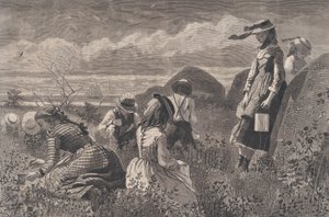 गैदरिंग बेरीज हार्पर्स वीकली, वॉल्यूम। XVIII, 11 जुलाई, 1874। द्वारा डब्ल्यूएच लेगार्ड