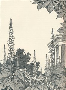 ए मिडसमर नाइट्स ड्रीम, 1914, 1925 का चित्रण। द्वारा विलियम हीथ रॉबिन्सन