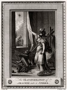 एक मकड़ी में अरचाने का परिवर्तन, 1775