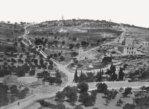 जैतून, यरूशलेम, फिलिस्तीन का पर्वत, 1895।