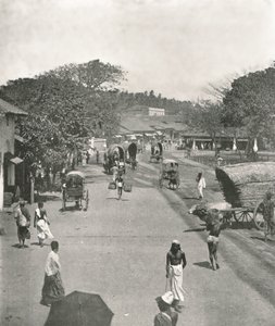 1895 में टाउन हॉल, कोलंबो, सीलोन के पास सड़क का दृश्य। द्वारा डब्ल्यू एंड एस लिमिटेड