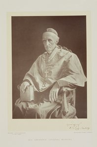 कार्डिनल हेनरी एडवर्ड मैनिंग का चित्र (1808-92) द्वारा वालरी रेज़्यूस्की