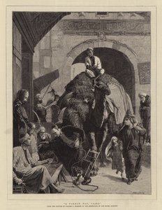 ए नैरो वे, काहिरा