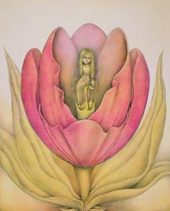  द्वारा वेन एंडरसन