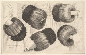 फाइव व्यूज़ में एक मफ, 1645-46। द्वारा Wenceslaus Hollar