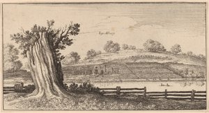एल्बरी द्वारा Wenceslaus Hollar