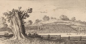 एल्बरी, 1645। द्वारा Wenceslaus Hollar