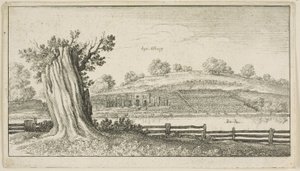 अग्रभूमि में वृक्ष-स्टंप के साथ एल्बरी द्वारा Wenceslaus Hollar