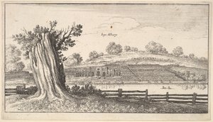 अग्रभूमि में पेड़-स्टंप के साथ एल्बरी, 1625-77। द्वारा Wenceslaus Hollar