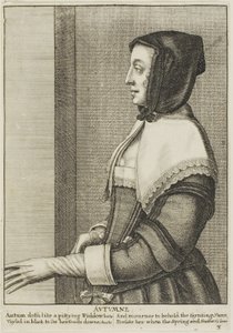 शरद ऋतु द्वारा Wenceslaus Hollar