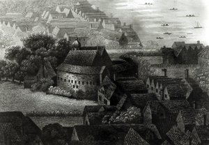 भालू उद्यान, 1647 द्वारा Wenceslaus Hollar