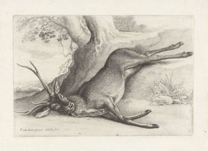  द्वारा Wenceslaus Hollar