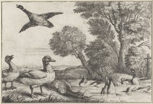  द्वारा Wenceslaus Hollar
