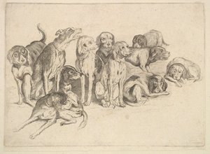 इलेवन हाउंड्स, 1625-77। द्वारा Wenceslaus Hollar