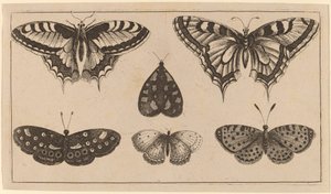 पाँच तितलियाँ और एक पतंगा द्वारा Wenceslaus Hollar