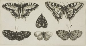  द्वारा Wenceslaus Hollar