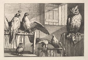 बाज़ और उल्लू, 1625-77। द्वारा Wenceslaus Hollar