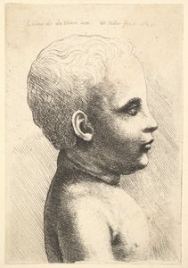 बच्चे के सिर और कंधे, प्रोफाइल में दाहिनी ओर, 1645। द्वारा Wenceslaus Hollar