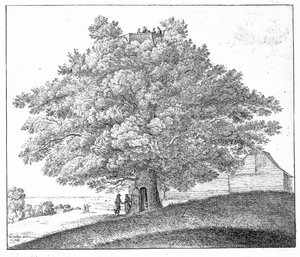 हम्पस्टेड, 1663 में खोखला पेड़ द्वारा Wenceslaus Hollar