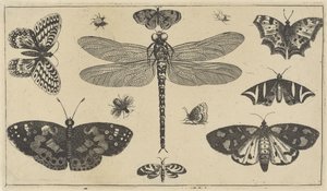  द्वारा Wenceslaus Hollar