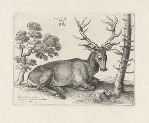  द्वारा Wenceslaus Hollar