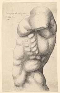 नर धड़ को गर्दन से कूल्हे तक प्रोफ़ाइल में बाएं, 1645 पर। द्वारा Wenceslaus Hollar