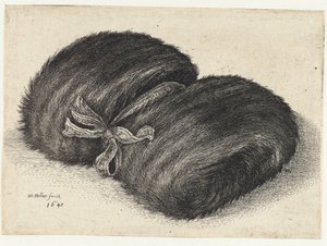  द्वारा Wenceslaus Hollar