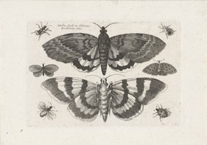  द्वारा Wenceslaus Hollar