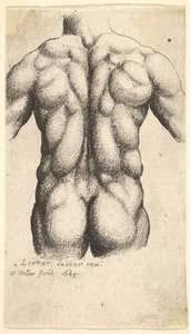 पीछे से देखा गया नग्न नर धड़, 1645। द्वारा Wenceslaus Hollar