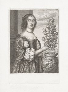  द्वारा Wenceslaus Hollar