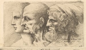 बाईं ओर प्रोफ़ाइल के तीन सिर, 1645। द्वारा Wenceslaus Hollar