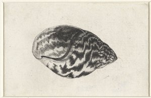  द्वारा Wenceslaus Hollar