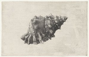  द्वारा Wenceslaus Hollar