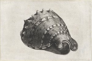  द्वारा Wenceslaus Hollar