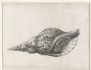 द्वारा Wenceslaus Hollar