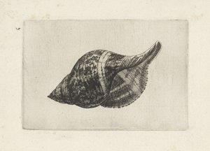  द्वारा Wenceslaus Hollar