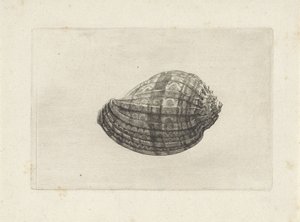  द्वारा Wenceslaus Hollar
