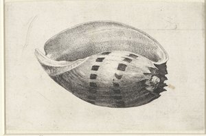  द्वारा Wenceslaus Hollar