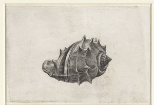  द्वारा Wenceslaus Hollar