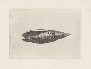  द्वारा Wenceslaus Hollar