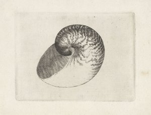  द्वारा Wenceslaus Hollar