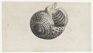  द्वारा Wenceslaus Hollar