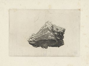  द्वारा Wenceslaus Hollar